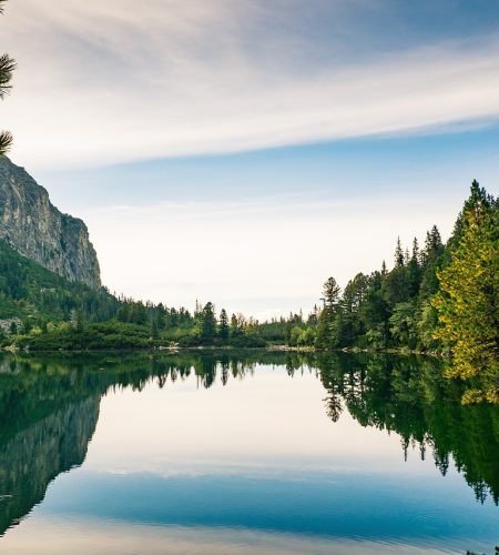 Suyun Yolu: Yumuşaklıktaki Güç